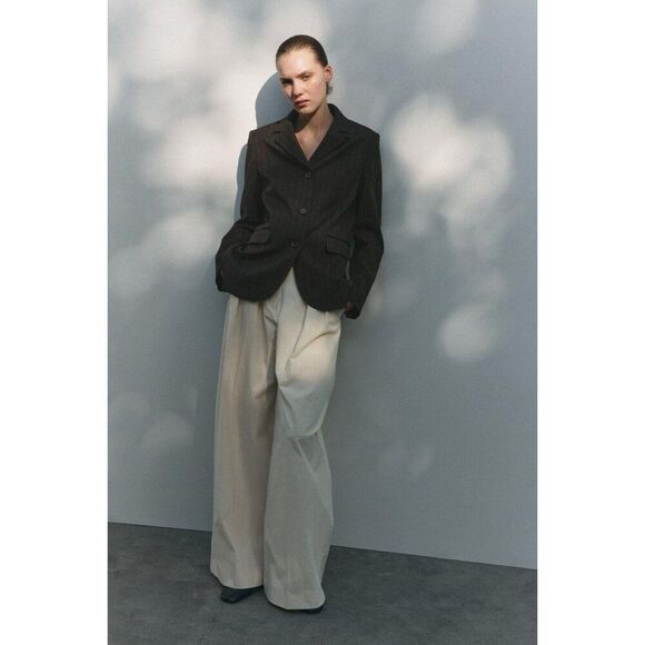 Zara Womens Blazer Suit Jacket XS Brown Pinstriped polyester 3811/045 NWOT - Picture 1 of 10